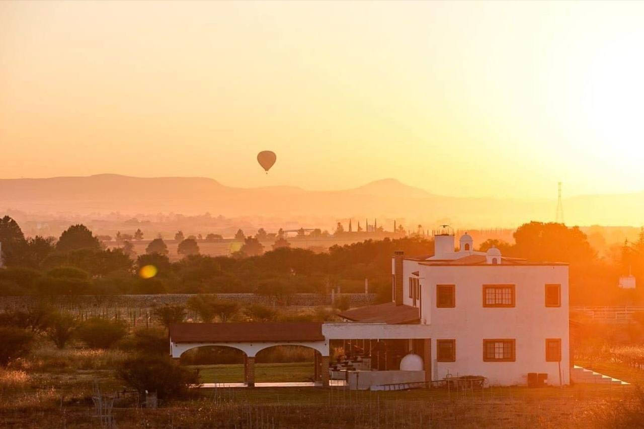 Viñedo San Juanito al atardecer